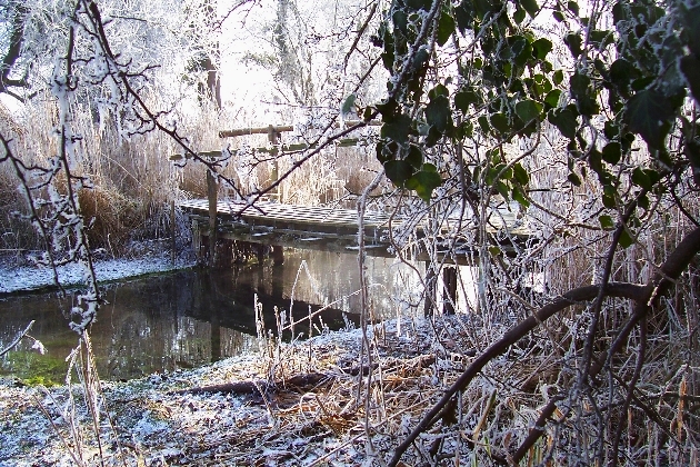 Bild 025.jpg - Der Gießenweg im Naturschutzgebiet Taubergießen beim Europa-Park Rust